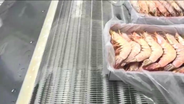 一款速冻大虾时用到的隧道式冷冻网带