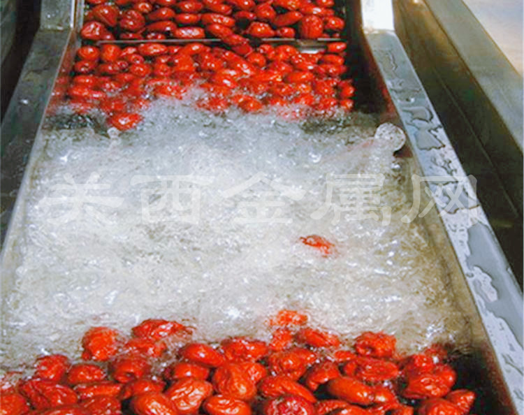 食品输送带——红枣的特别清洗方式