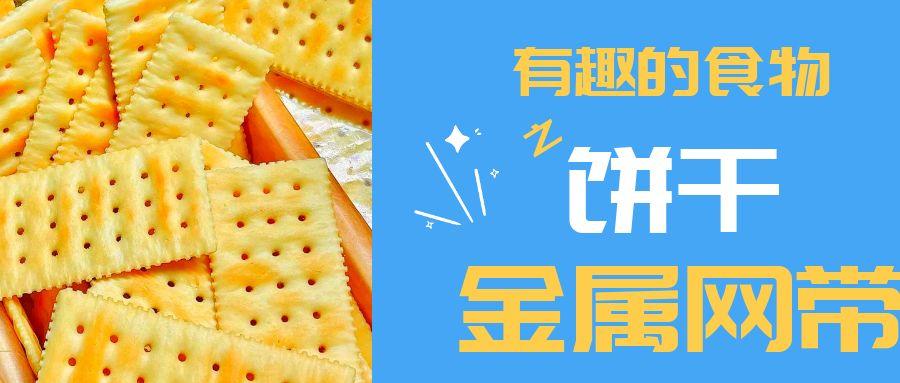 【有趣的食物】饼干到底用到多少金属网带？